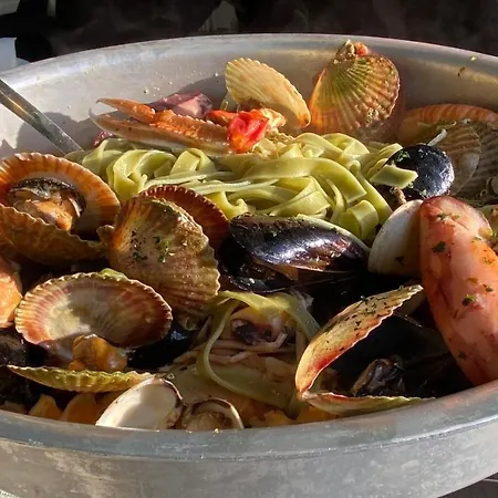 Villa Yucca Istra Labin (Istria)