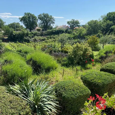 Yucca Istra Labin (Istria)