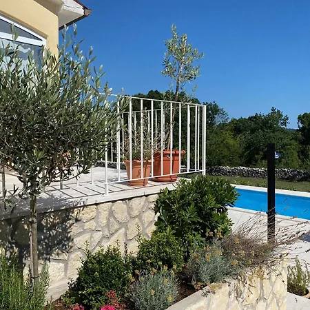 Yucca Istra * Labin (Istria)