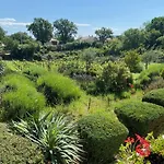 Yucca Istra لابين