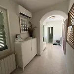 فيلة Yucca Istra لابين