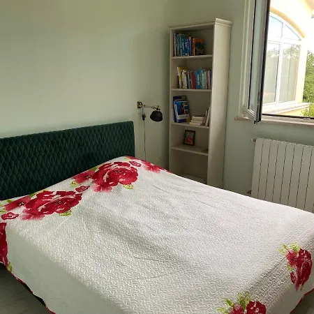 Villa Yucca Istra *