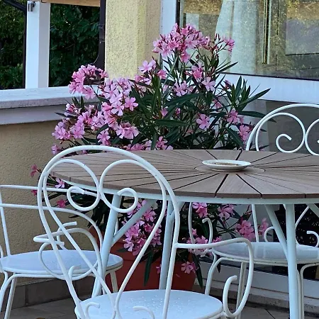 Yucca Istra Villa *