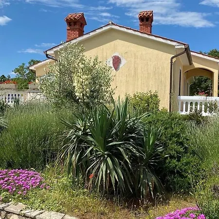 Villa Yucca Istra *