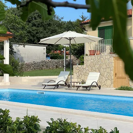 Yucca Istra * Labin (Istria)