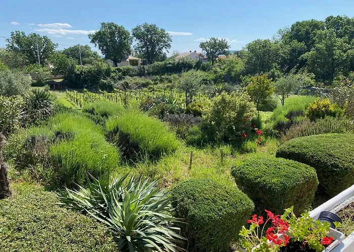 Yucca Istra Labin (Istria)