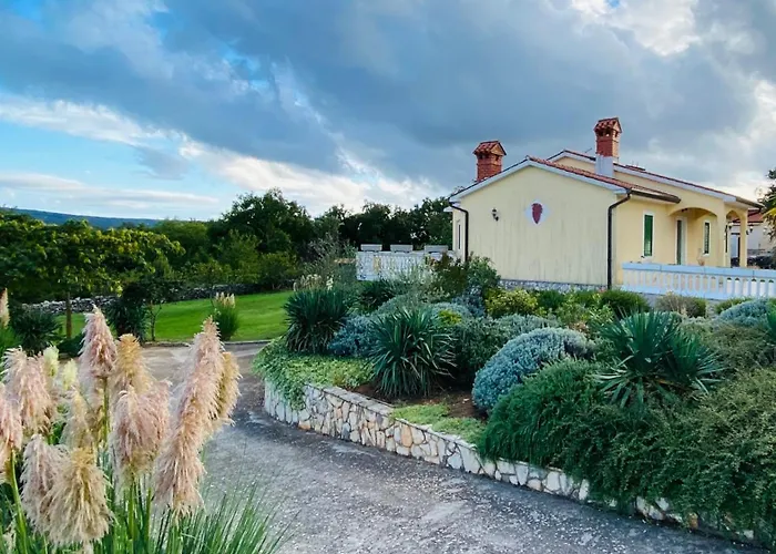 Yucca Istra * Labin (Istria)